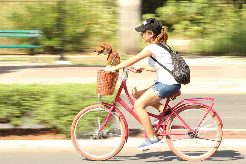 50 代 自転車